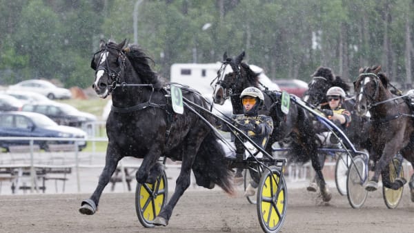 Foto: LENA EMMOTH / TR BILD