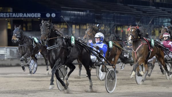 Foto: LARS JAKOBSSON / TR BILD