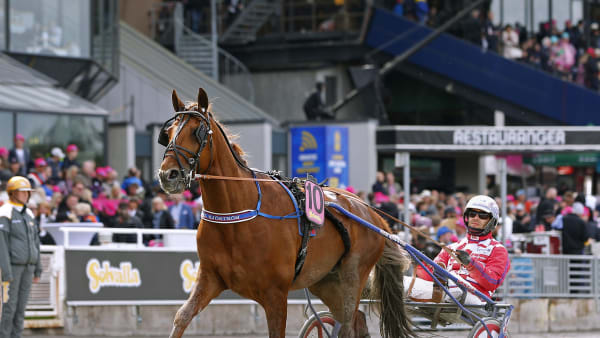 Foto: MARIA HOLMÉN / TR BILD