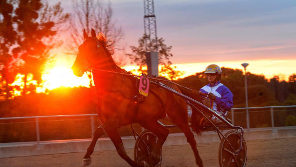 Foto: LARS JAKOBSSON / TR BILD