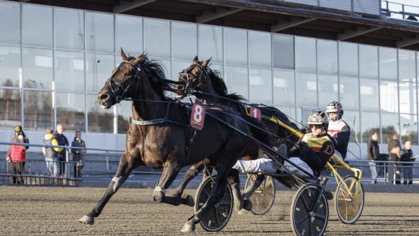 Foto: LENA EMMOTH / TR BILD
