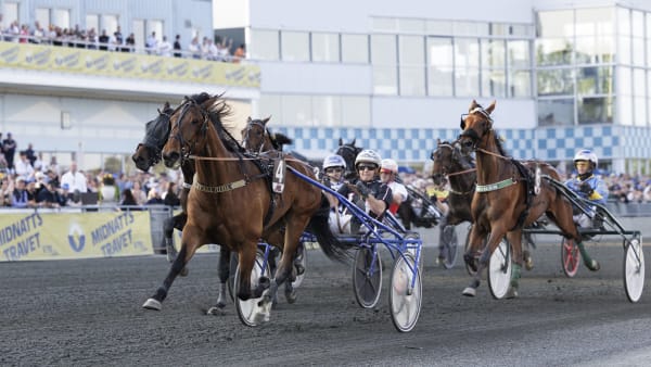 Foto: LENA EMMOTH / TR BILD