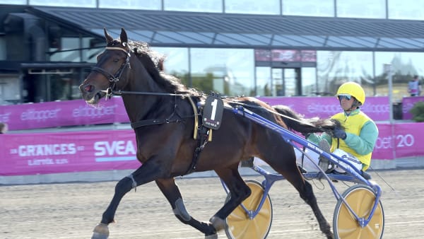 Foto: LARS JAKOBSSON / TR BILD