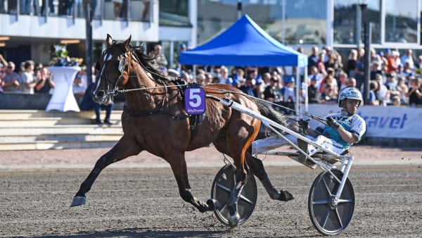 Foto: MALIN ALBINSSON / TR BILD