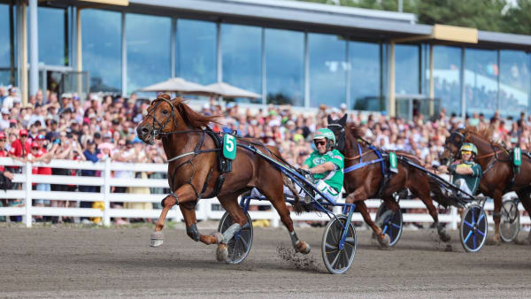 Foto: Maisa Hyttinen/Suomen Hippos