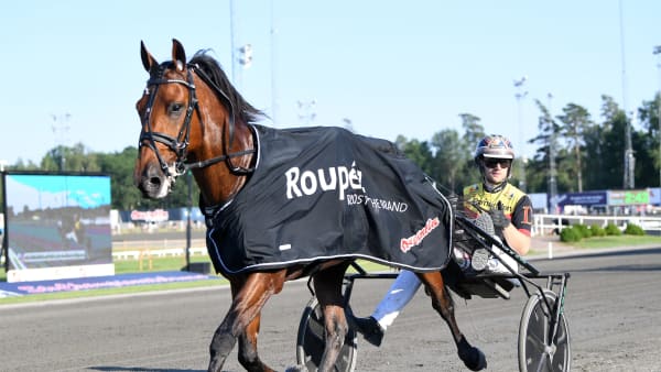 Foto: MALIN ALBINSSON / TR BILD