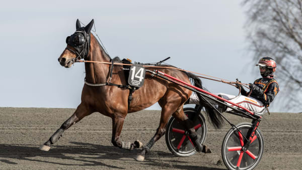 Foto: LENA EMMOTH / TR BILD