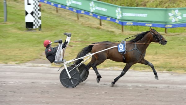 Foto: LARS JAKOBSSON / TR BILD