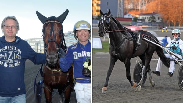 Foto: Lars Jakobsson/Malin Albinsson/TR Bild/Montage