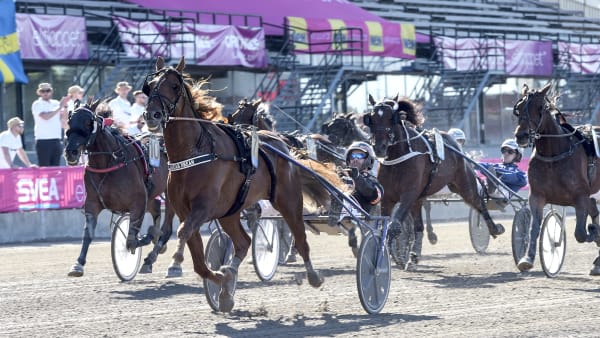 Foto: LARS JAKOBSSON / TR BILD