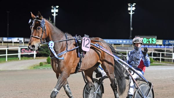 Foto: MALIN ALBINSSON / TR BILD