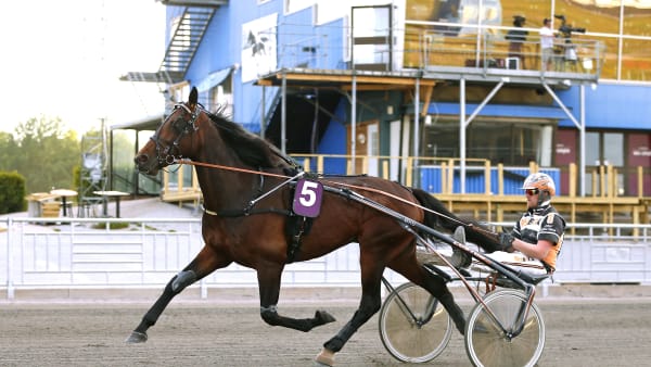 Foto: MARIA HOLMÉN / TR BILD