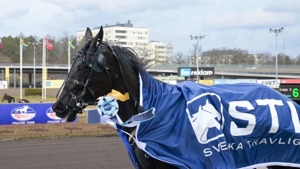 Foto: LARS JAKOBSSON / TR BILD