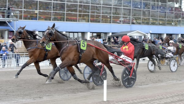 Foto: LARS JAKOBSSON / TR BILD