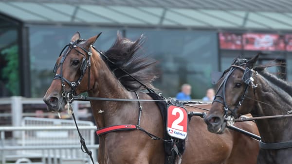 Foto: LARS JAKOBSSON / TR BILD