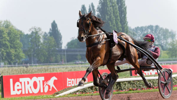 Foto: Jean-Luc Lamaère-LeTROT