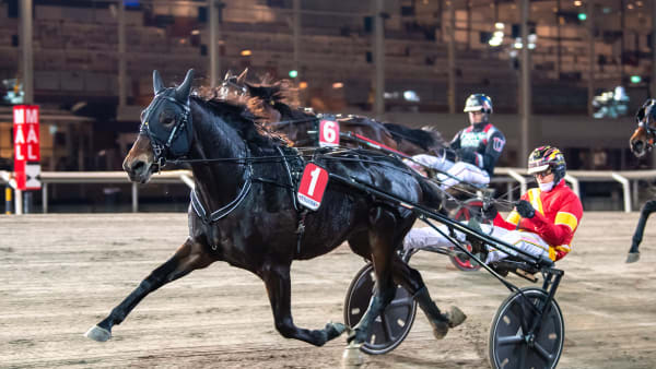 Foto: MIKAEL ROSENQUIST / TR BILD