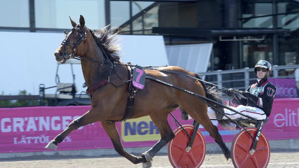 Foto: LARS JAKOBSSON / TR BILD