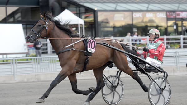 Foto: LARS JAKOBSSON / TR BILD