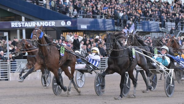 Foto: LARS JAKOBSSON / TR BILD