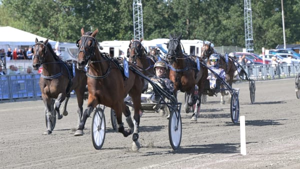 Foto: LARS JAKOBSSON / TR BILD