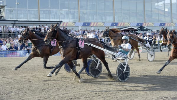 Foto: LARS JAKOBSSON / TR BILD