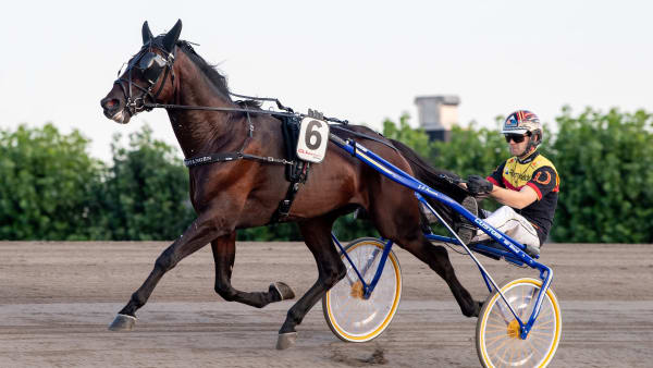 Foto: MIKAEL ROSENQUIST / TR BILD