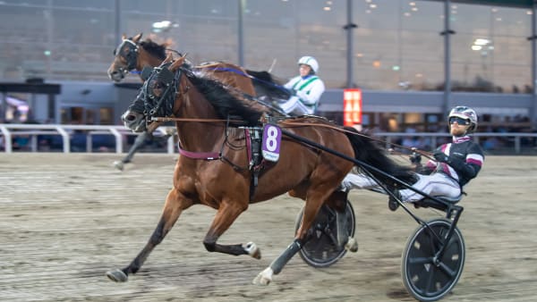 Foto: MIKAEL ROSENQUIST / TR BILD