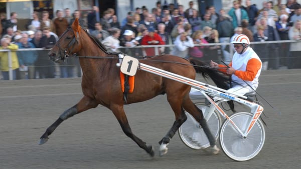 Foto: TOMMY ANDERSSON / ALN / TR BILD