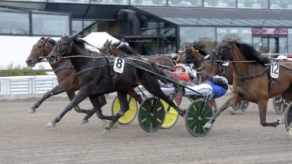 Foto: LARS JAKOBSSON / TR BILD