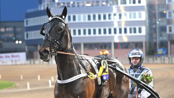 Foto: LARS JAKOBSSON / TR BILD