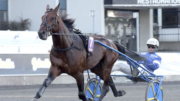 Foto: LARS JAKOBSSON / TR BILD