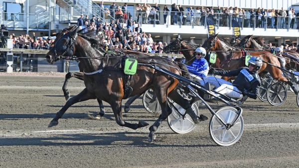 Foto: MALIN ALBINSSON / TR BILD