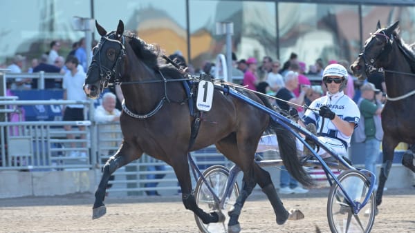 Foto: LARS JAKOBSSON / TR BILD