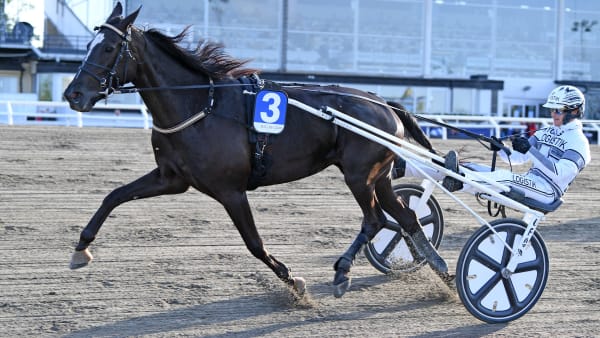 Foto: MALIN ALBINSSON / TR BILD