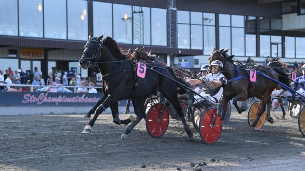 Foto: MALIN ALBINSSON/TR BILD