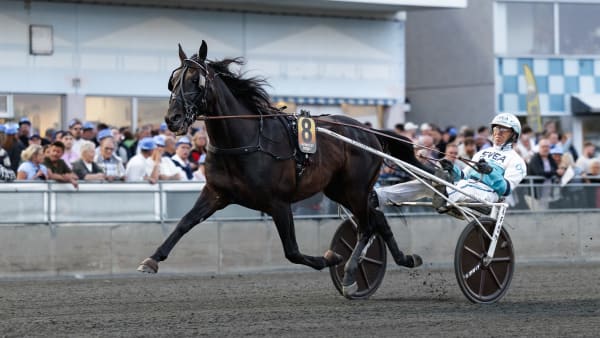 Foto: LENA EMMOTH / TR BILD