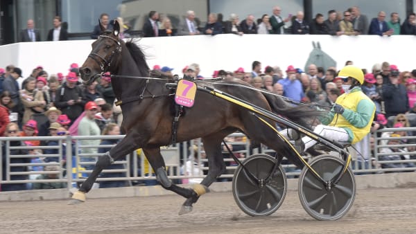 Foto: LARS JAKOBSSON / TR BILD