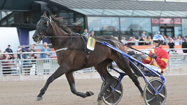 Foto: LARS JAKOBSSON / TR BILD