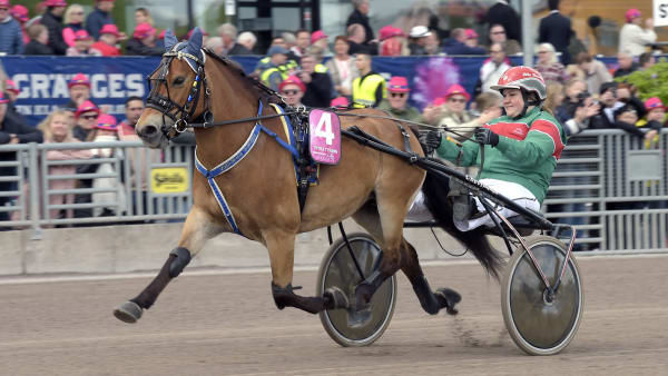 Foto: LARS JAKOBSSON / TR BILD