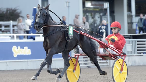 Foto: LARS JAKOBSSON / TR BILD