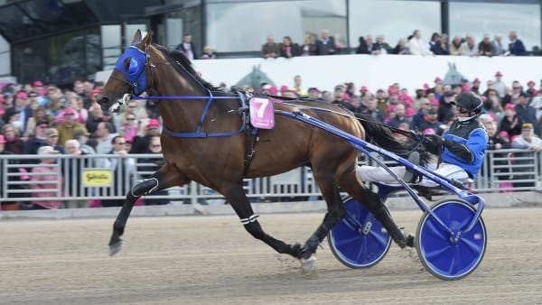 Foto: LARS JAKOBSSON / TR BILD