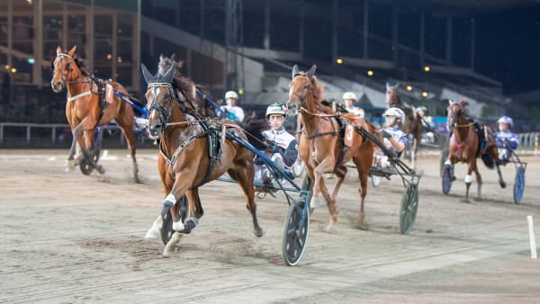 Foto: MIKAEL ROSENQUIST / TR BILD