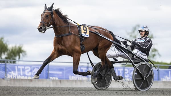 Foto: LENA EMMOTH / TR BILD