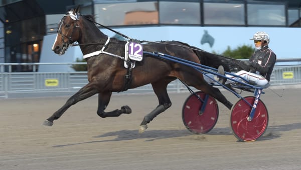 Foto: LARS JAKOBSSON / TR BILD