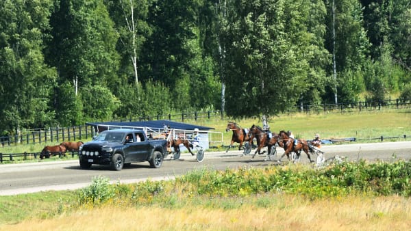 Foto: Petri Johansson/TR Bild