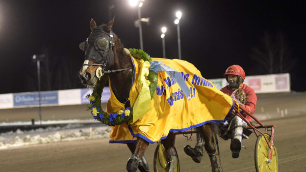 Foto: LARS JAKOBSSON / TR BILD