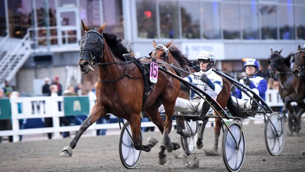 Foto: MALIN ALBINSSON / TR BILD