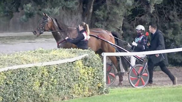 Foto: LE TROT