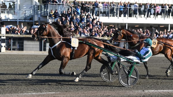 Foto: MALIN ALBINSSON / TR BILD